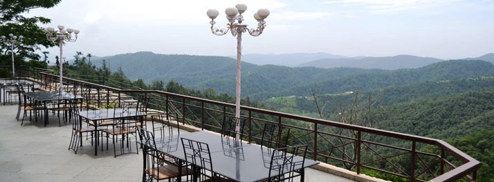 1481/Toshali Royal View - Shimla 08.jpg